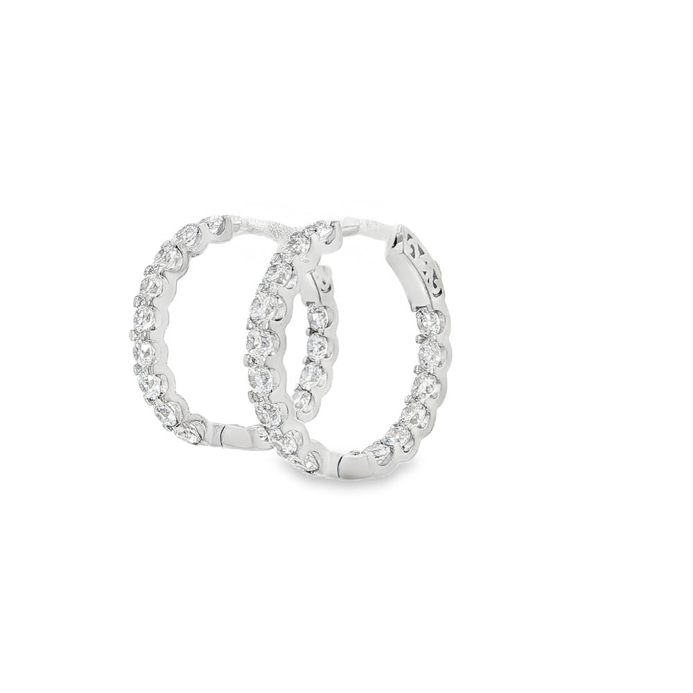 Bold Stone Hoop Earrings