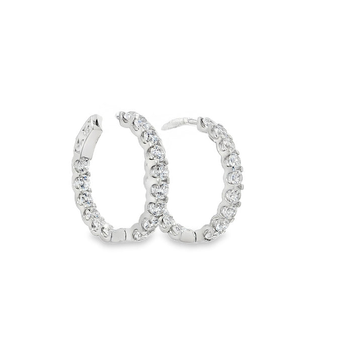 Bold Stone Hoop Earrings